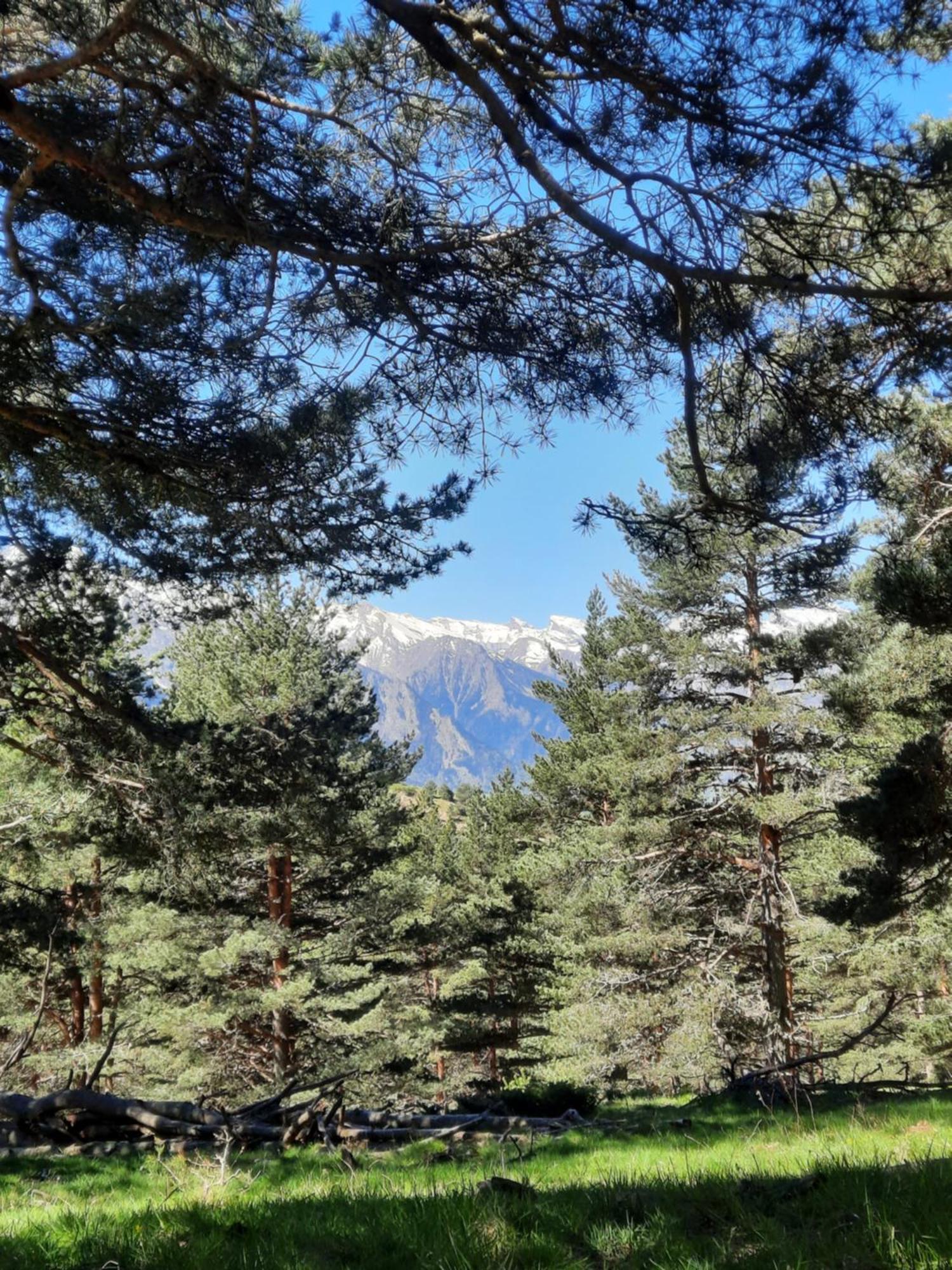 Appart Montagne 3 Etoiles Saint-Lary Station サン・ラリー・スラン エクステリア 写真